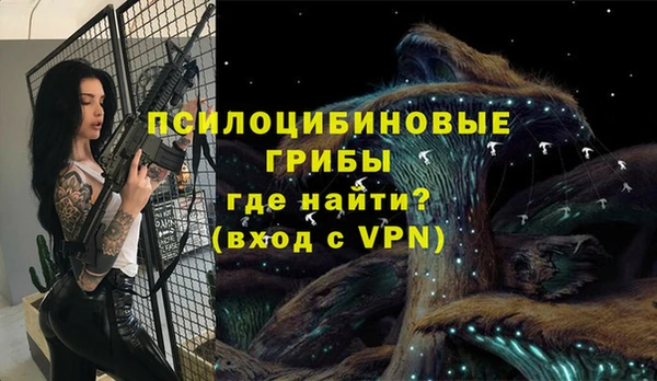 а пвп мука Елизово