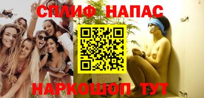 стаф Кулебаки