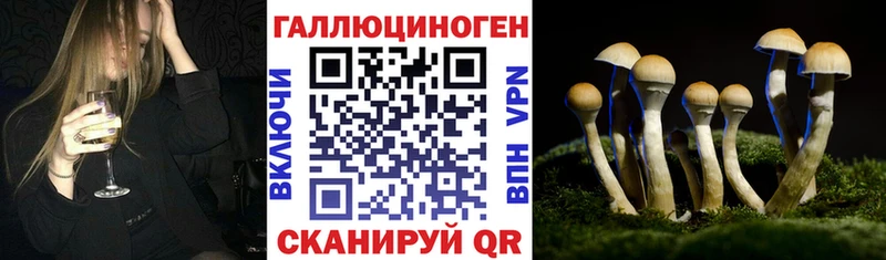 Псилоцибиновые грибы Psilocybine cubensis  Дятьково 
