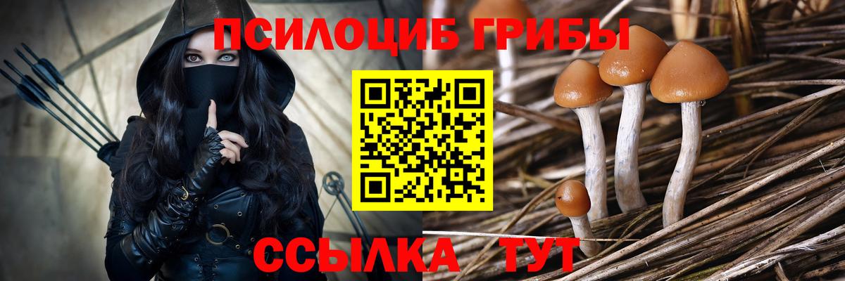 Галлюциногенные грибы прущие грибы  Вход с VPN  Дятьково  Псилоцибиновые грибы Magic Shrooms 
